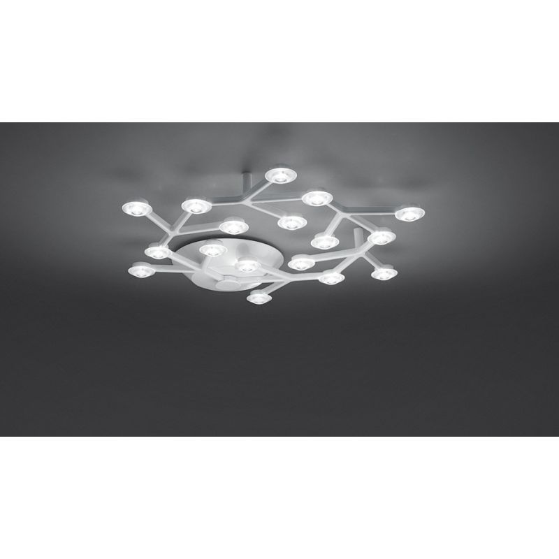 LED NET CIRCLE CEILING