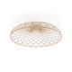 SKYNEST C